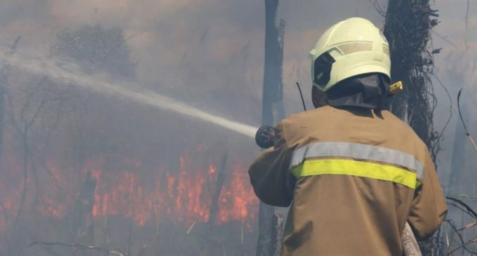 За минулу добу на території Запорізької області рятувальники ліквідували 11 пожеж в екосистемах