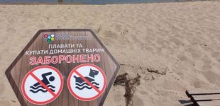 На двох пляжах Дніпра виявили холероподібний вібріон