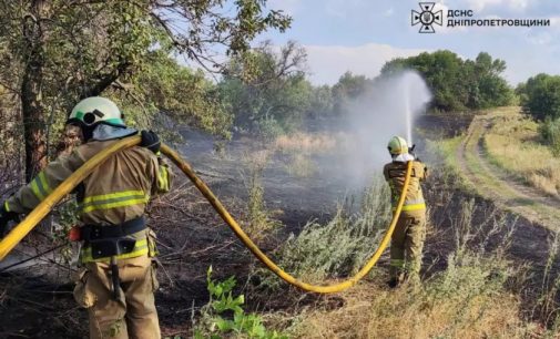 На Дніпропетровщині не вщухають пожежі в екосистемах: за добу рятувальники загасили 41 займання