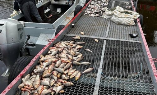 Незаконний вилов риби зі шкодою на понад 3 млн грн: у Запоріжжі судитимуть двох чоловіків за браконьєрство
