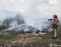 На Дніпропетровщині протягом доби ліквідовано 62 пожежі в екосистемах