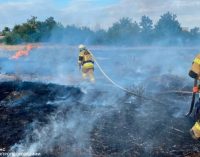 79 пожеж в екосистемах за добу: рятувальники Дніпропетровщини продовжують приборкувати займання