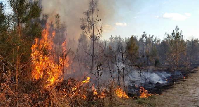 У Києві на вихідні очікується надзвичайний рівень пожежної небезпеки