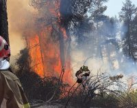 Київська ОВА: від уламків БПЛА сталися пожежі у трьох районах області