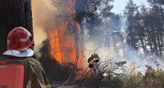 Київська ОВА: від уламків БПЛА сталися пожежі у трьох районах області