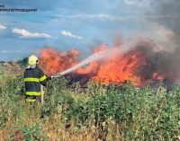 41 загорання за добу: надзвичайники Дніпропетровщини продовжують вгамовувати пожежі на відкритих територіях