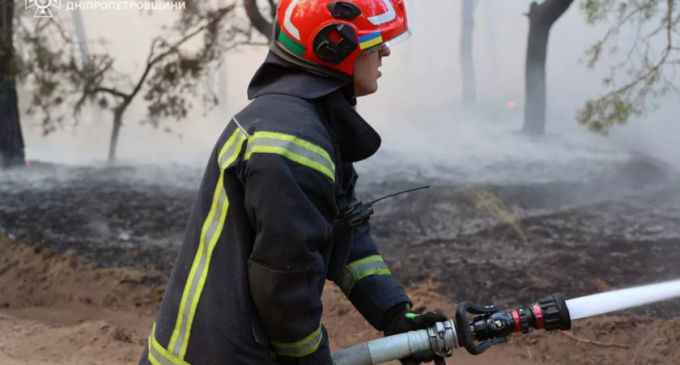 Дніпровський район: вогнеборці ліквідували масштабну пожежу в лісовому масиві