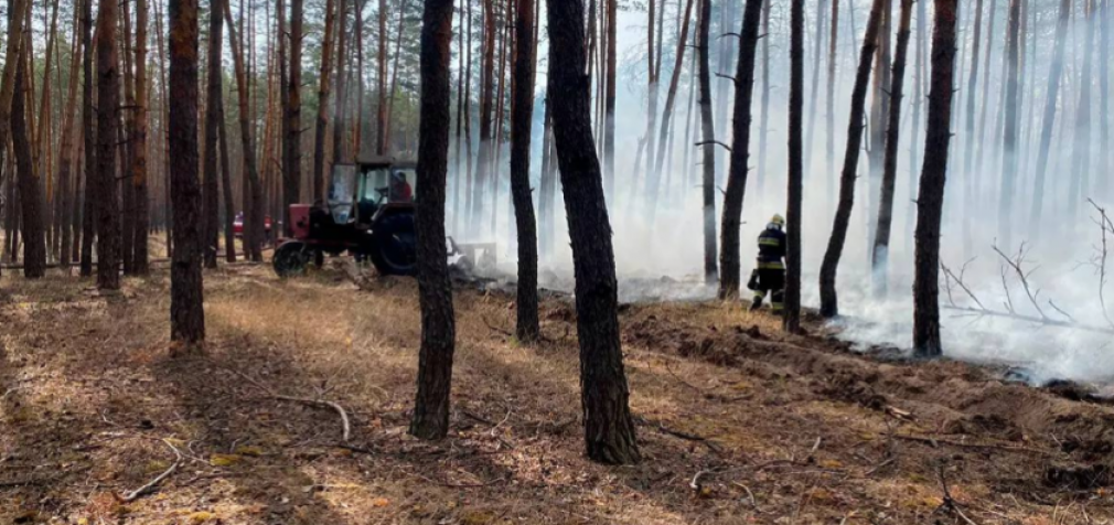 Павлоградський район: вогнеборці ліквідували лісову пожежу