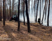 Павлоградський район: вогнеборці ліквідували лісову пожежу