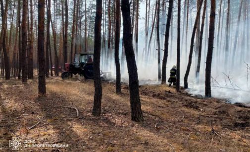 Павлоградський район: вогнеборці ліквідували лісову пожежу