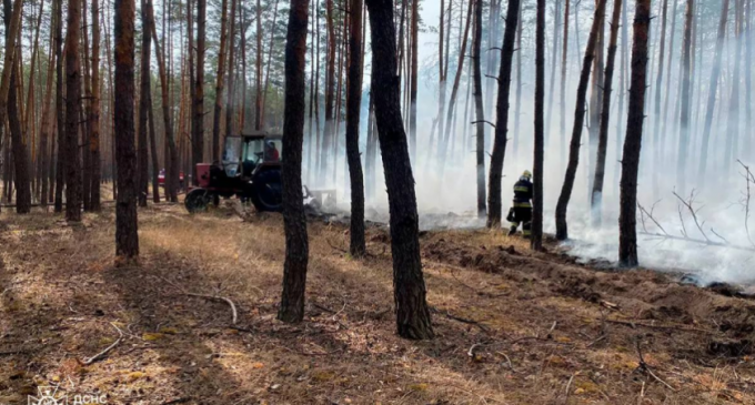 Павлоградський район: вогнеборці ліквідували лісову пожежу