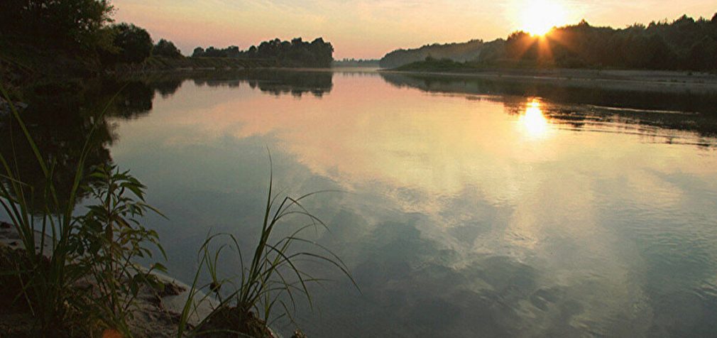 Забруднення річок Десна та Сейм: яка ситуація з водою та які ризики для Києва