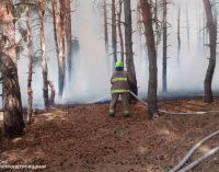 У Дніпровському районі ліквідували масштабну лісову пожежу