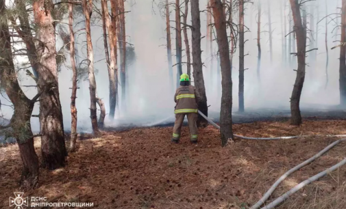 У Дніпровському районі ліквідували масштабну лісову пожежу