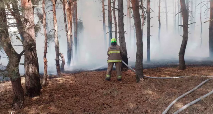 У Дніпровському районі ліквідували масштабну лісову пожежу