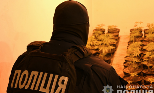 Запорізькі поліцейські припинили діяльність наркоаграрія