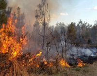 На окупованій частині Луганщини згоріло ціле село – ОВА