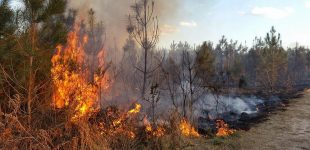 На окупованій частині Луганщини згоріло ціле село – ОВА