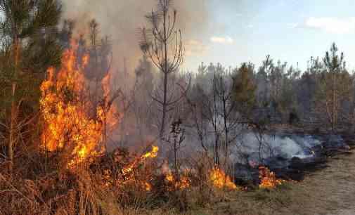 На окупованій частині Луганщини згоріло ціле село – ОВА