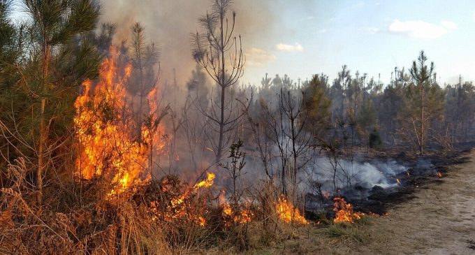 На окупованій частині Луганщини згоріло ціле село – ОВА