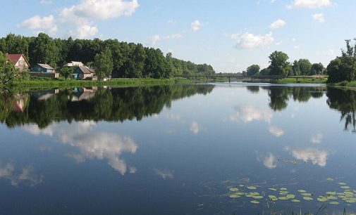 Десна стала першою мертвою річкою в Європі – голова екоінспекції