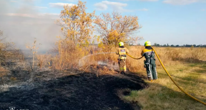 Вогнеборці Дніпропетровщини ліквідували 76 пожеж у природних екосистемах