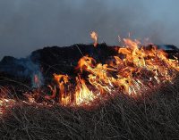 Міндовкілля: Частина ґрунтів після війни деякий час буде законсервована