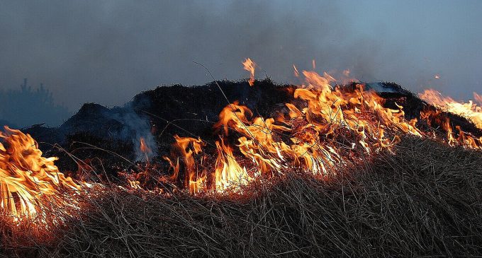 Міндовкілля: Частина ґрунтів після війни деякий час буде законсервована