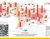 Дніпропетровщина посіла перше місце за кількістю хворих на сказ тварин