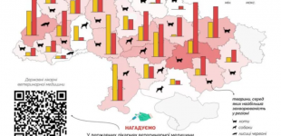 Дніпропетровщина посіла перше місце за кількістю хворих на сказ тварин