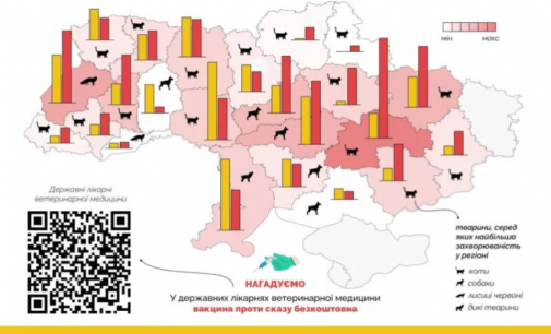 Дніпропетровщина посіла перше місце за кількістю хворих на сказ тварин