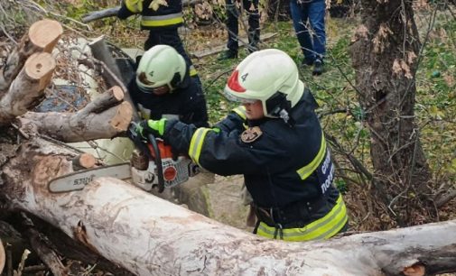 Майже 14,5 тисяч домівок залишилися без світла на Дніпропетровщині через негоду