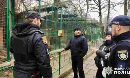 В зоопарку Одеси леопард напав на людину: що відомо
