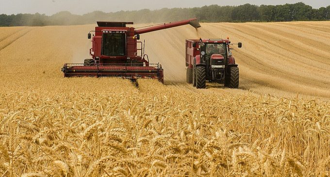 Глобальне потепління ставить під загрозу світову продовольчу безпеку