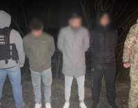 Самотужки спланували втечу з України: на кордоні зі Словаччиною затримали трьох ухилянтів з різних областей країни