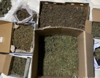 На Дніпропетровщині поліцейські викрили групу наркоторговців та вилучили наркотичні речовини вартістю понад пів мільйона гривень