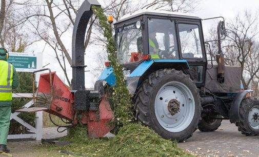У Києві запрацювали пункти прийому новорічних ялинок: як знайти найближчий
