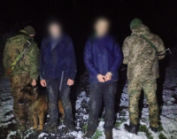 Зупинив лише службовий собака та попереджувальні постріли: на Одещині затримали втікача з Запоріжжя