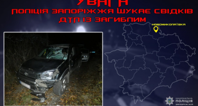 Запорізькі поліцейські розшукують свідків смертельної ДТП