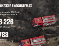 З початку 2025 року в природних екосистемах України зафіксовано 714 пожеж