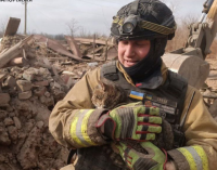 Надзвичайники Запоріжжя врятували кота з-під завалів після російського обстрілу