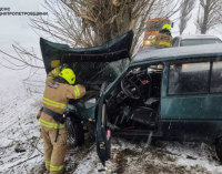 У Дніпровському районі водій ЗАЗ влетів у дерево: рятувальники деблокували людей з понівеченого авто