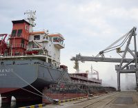 100 млн тонн експорту: Зеленський розповів про успіхи морського коридору