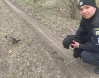 Криворізькі поліцейські врятували птаха зі зламаним крилом