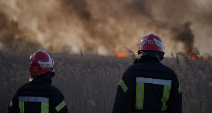 В Одеській області масштабна пожежа: через вітер вогонь перекинувся на нацпарк
