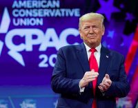 WSJ: Трамп хоче запровадити єдину офіційну мову на території США