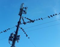 В “Укренерго” розповіли, як застосовуватимуться графіки відключення 4 березня