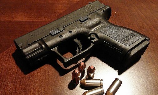 У Мінцифри анонсували появу дозволів на зброю у “Дії”