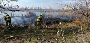 На Дніпропетровщині за добу ліквідовано 71 пожежу в екосистемах