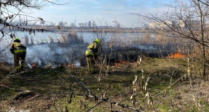 На Дніпропетровщині за добу ліквідовано 71 пожежу в екосистемах